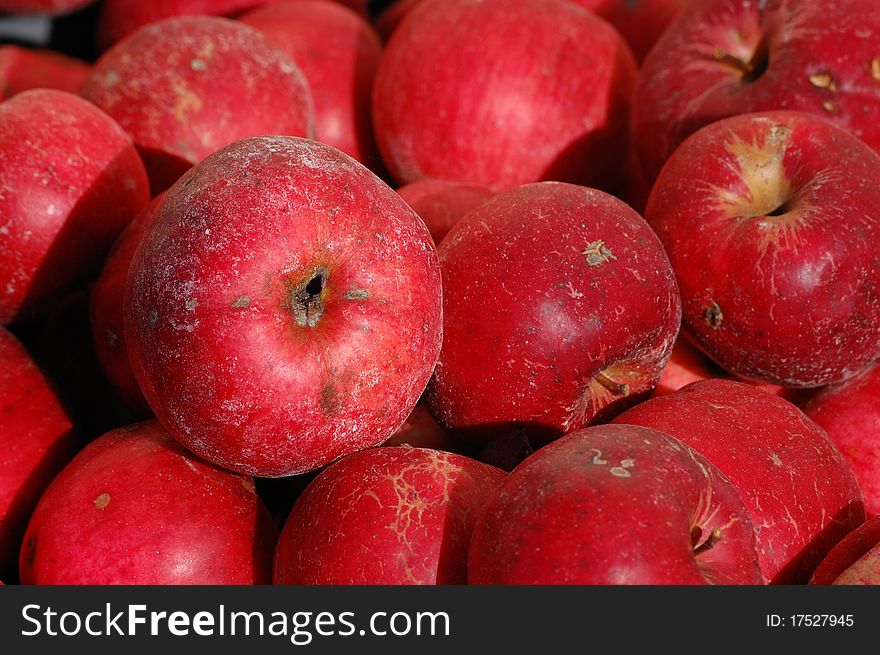 Some natural red apples in autumn light