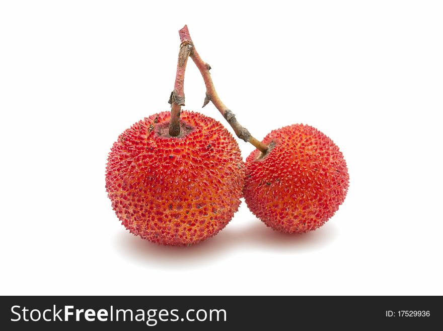 Arbutus berries