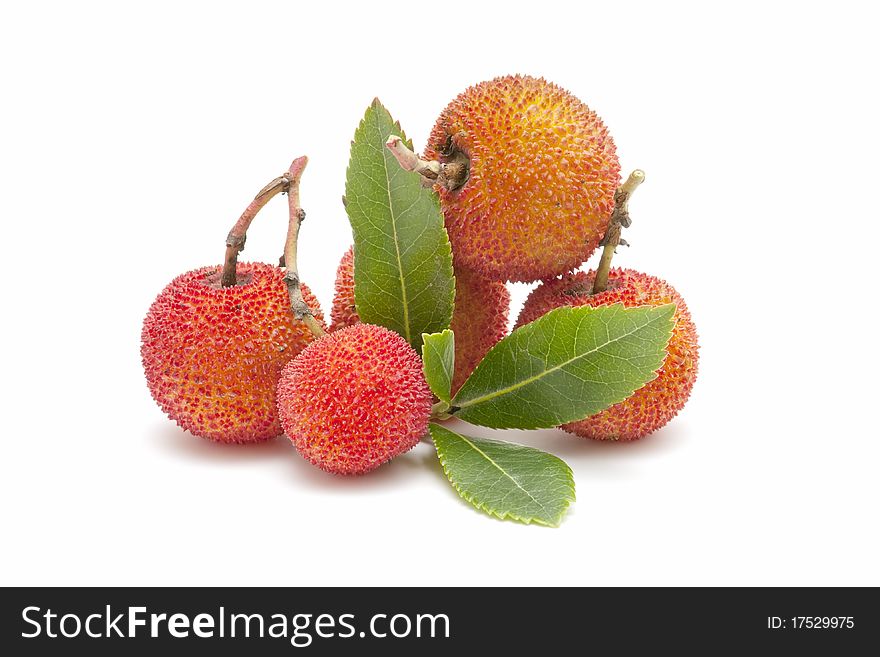 Natural arbutus isolated on white background. Natural arbutus isolated on white background