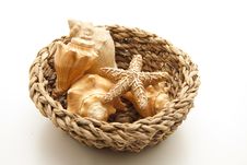 Sea Shell And Sea Star Stock Photography Sea Shell And Sea Star Stock Photography