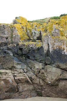 Yellow Lichen On Cracked Rock Royalty Free Stock Image Yellow Lichen On Cracked Rock Royalty Free Stock Image