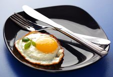 Scrambled Eggs Royalty Free Stock Photography Scrambled Eggs Royalty Free Stock Photography