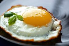 Scrambled Eggs Royalty Free Stock Photography Scrambled Eggs Royalty Free Stock Photography
