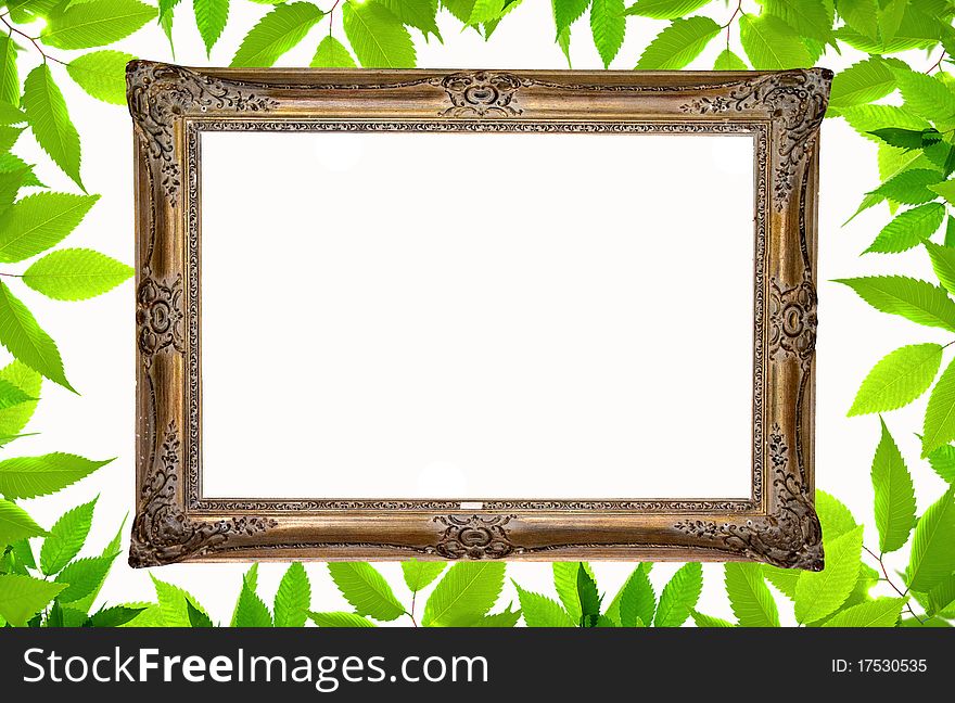 Background with green plant frame
