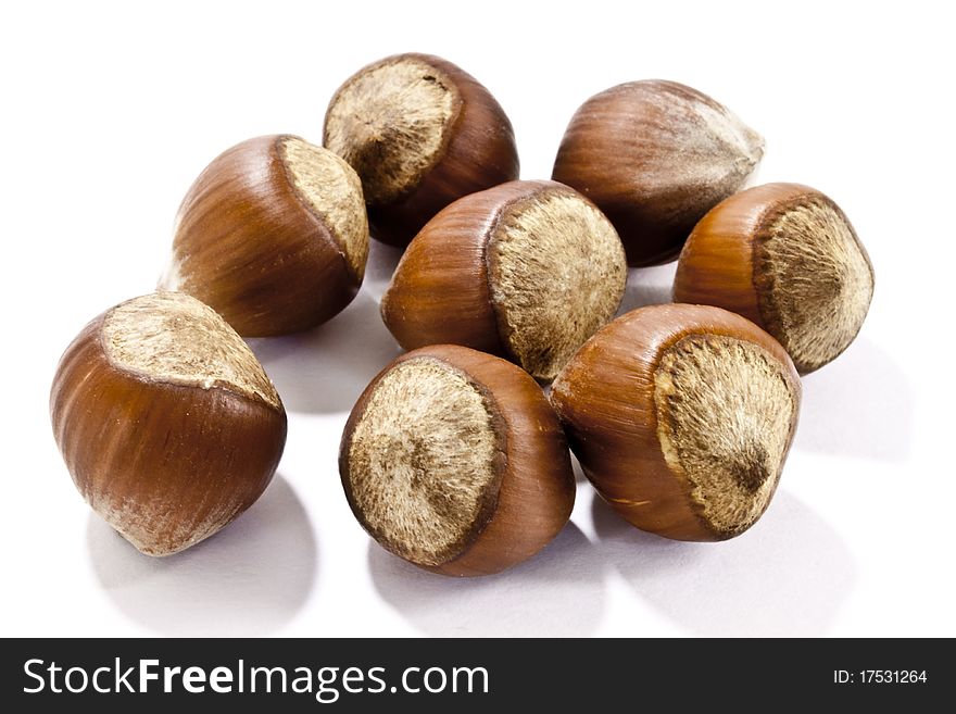 8 filbert nuts on white background
