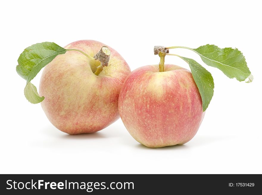 Organic Apples isolated on white background. Organic Apples isolated on white background