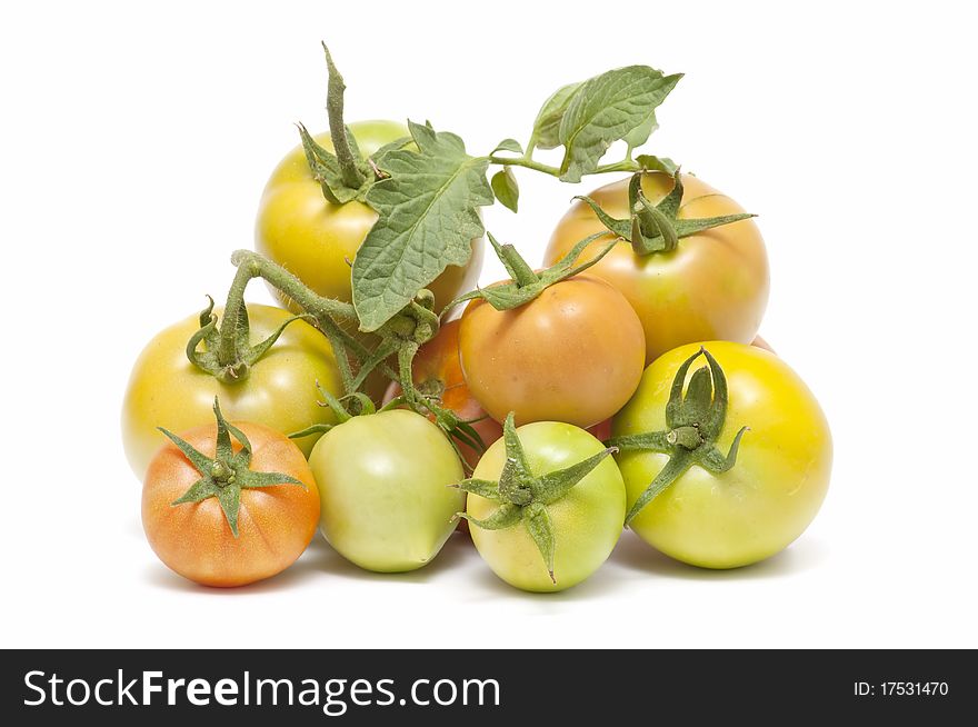 Organic tomatoes isolated on white background. Organic tomatoes isolated on white background