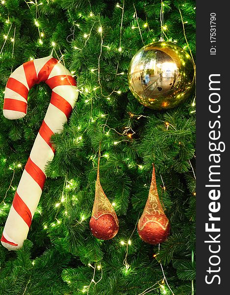 Decorate a outdoor Christmas tree with star and Christmas lights , Merry Christmas