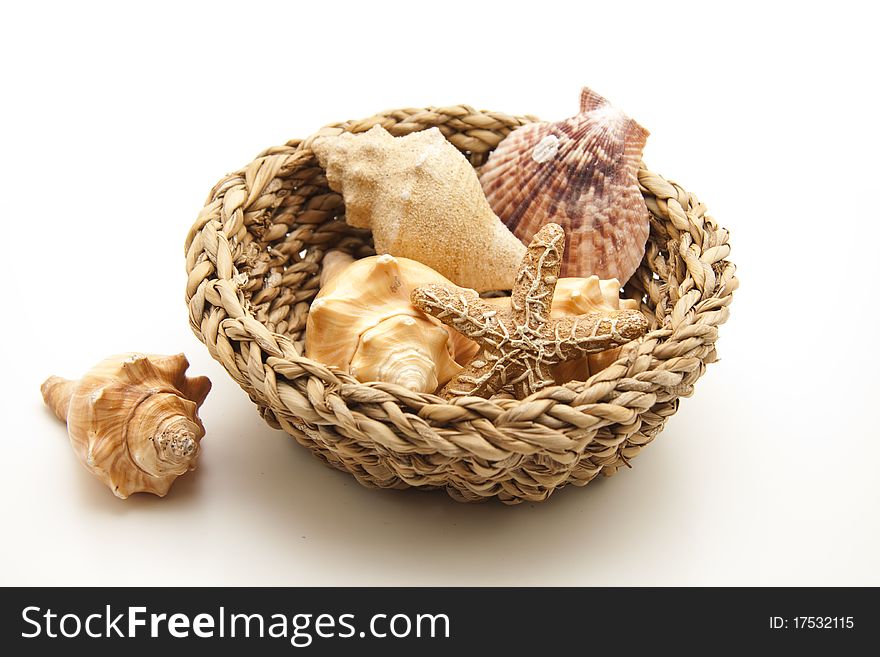 Sea shell and sea star in the woven basket