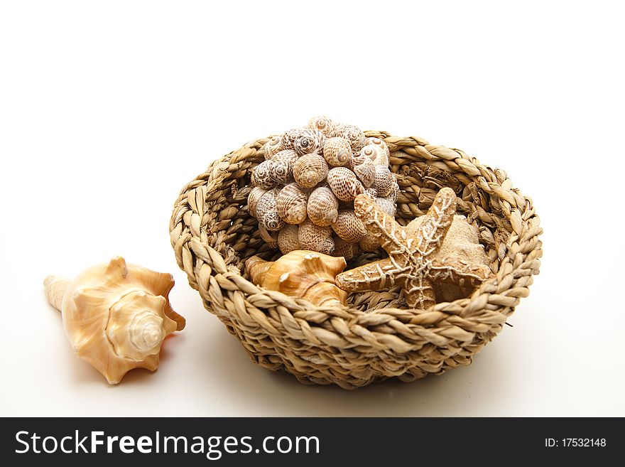 Sea shell and sea star in the woven basket