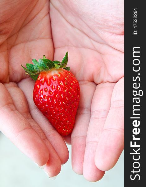 One fresh tasty strawberry in hands. One fresh tasty strawberry in hands