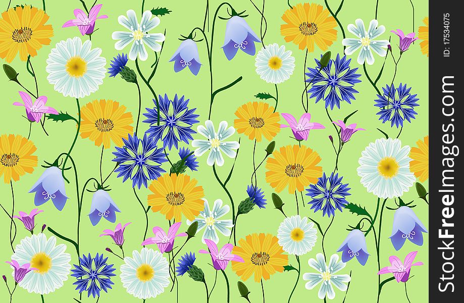 Meadow flowers - campanula, camomile, stellaria, centaurea - seamless over green background