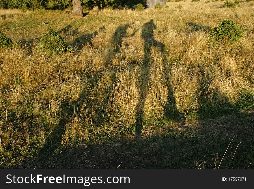 Hikers shadow on green grass. Hikers shadow on green grass