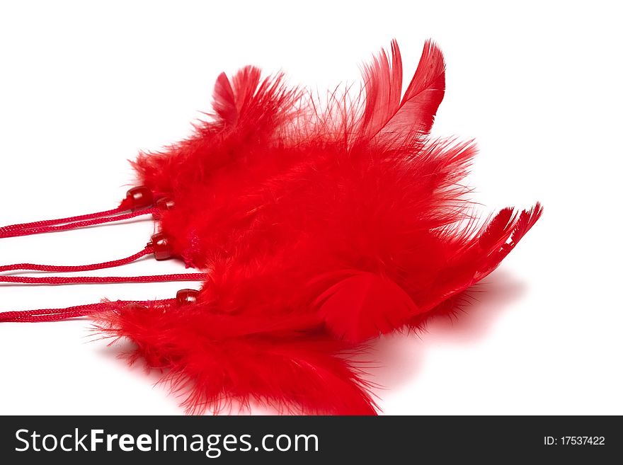 Red feather over white background. Red feather over white background