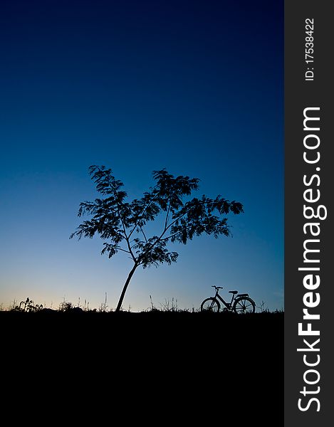 Silhouette tree with a bicycle.