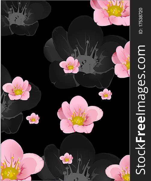 Illustration with pink flowers on black background. Illustration with pink flowers on black background