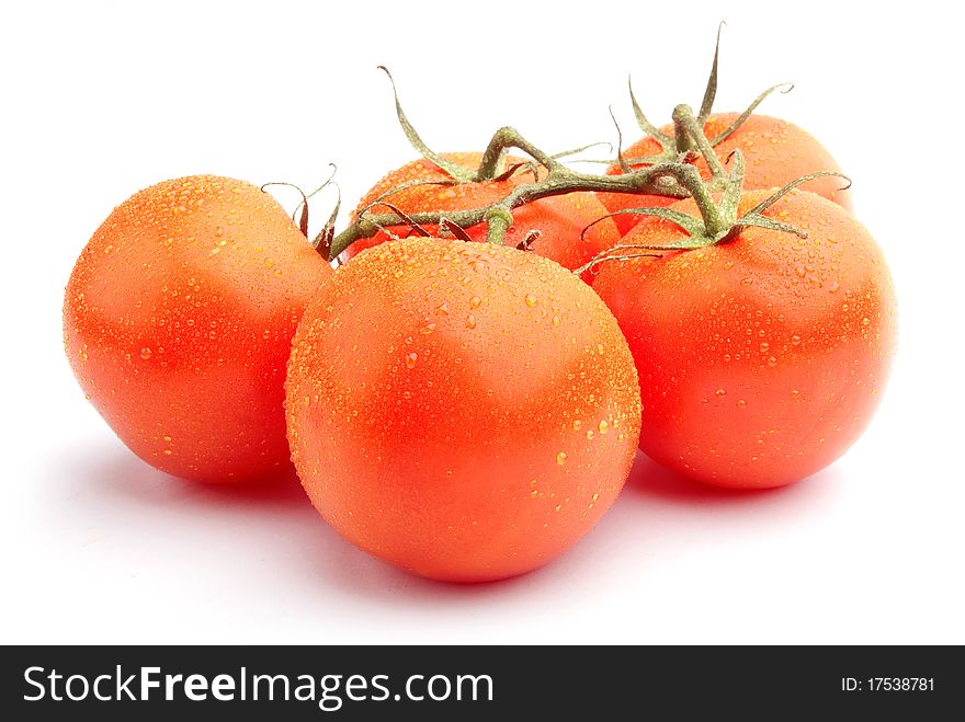 Covered with dew, tomatoes isolated on white background. Covered with dew, tomatoes isolated on white background