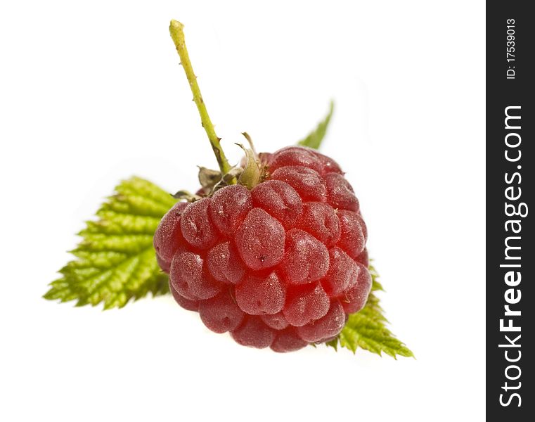 red fresh raspberry isolated on white