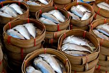 Fresh Mackerel In Market Stock Photography Fresh Mackerel In Market Stock Photography