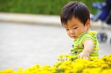 A Baby Is Playing In Garden Royalty Free Stock Image