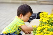 A Cute Baby Is Playing Royalty Free Stock Photos
