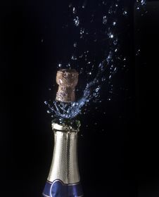 Champagne And Cork Royalty Free Stock Image Champagne And Cork Royalty Free Stock Image