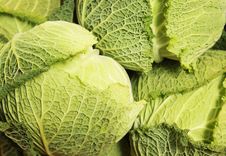 Fresh Cabbage Royalty Free Stock Photography Fresh Cabbage Royalty Free Stock Photography