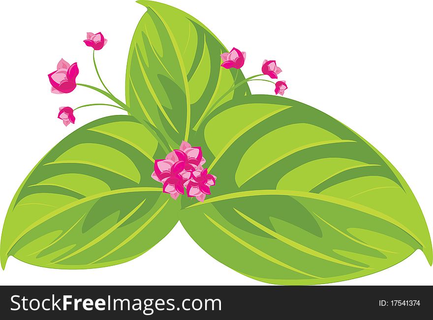 Pink flowers. Spring bouquet. Illustration