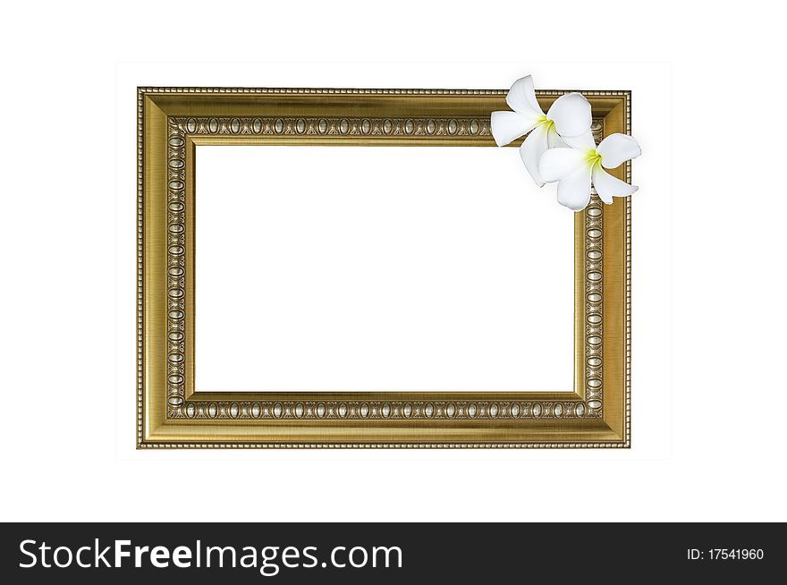 Gold classic frame with Lily at the corner