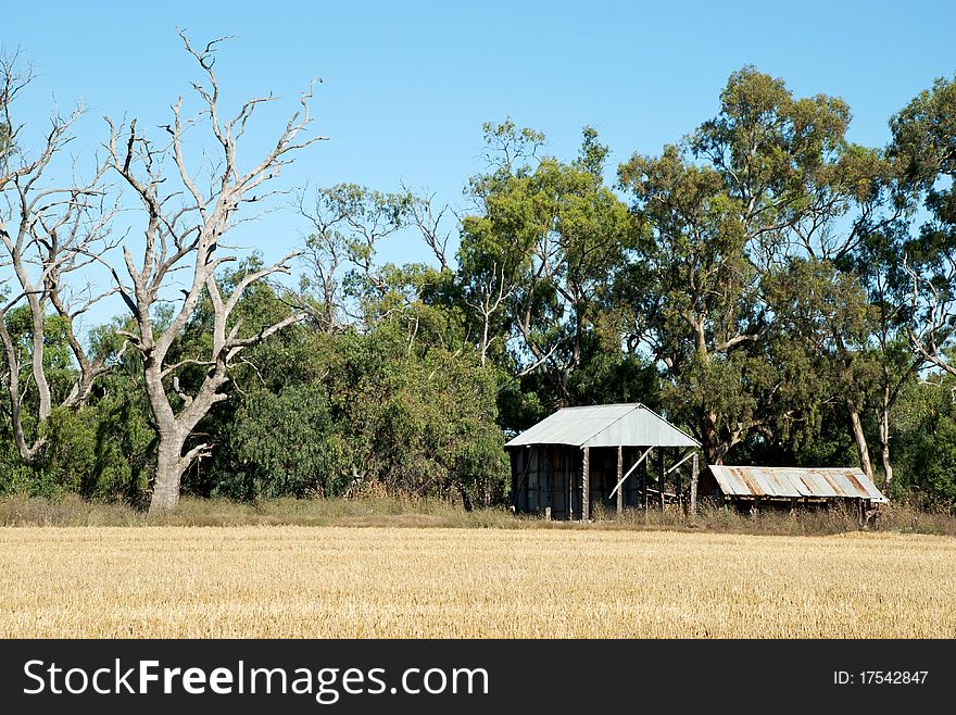 Old sheds in a paddock of stubble. Old sheds in a paddock of stubble