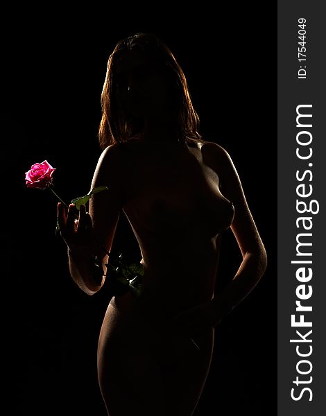 Silhouette Of A Woman With A Flower