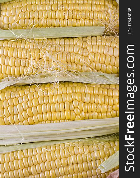 Peeled maize corn mealie cobs. Peeled maize corn mealie cobs