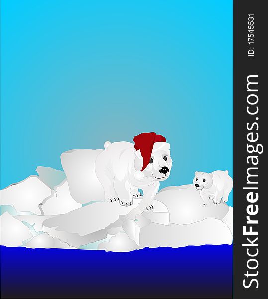 Two Polar Bears On Ice Pack