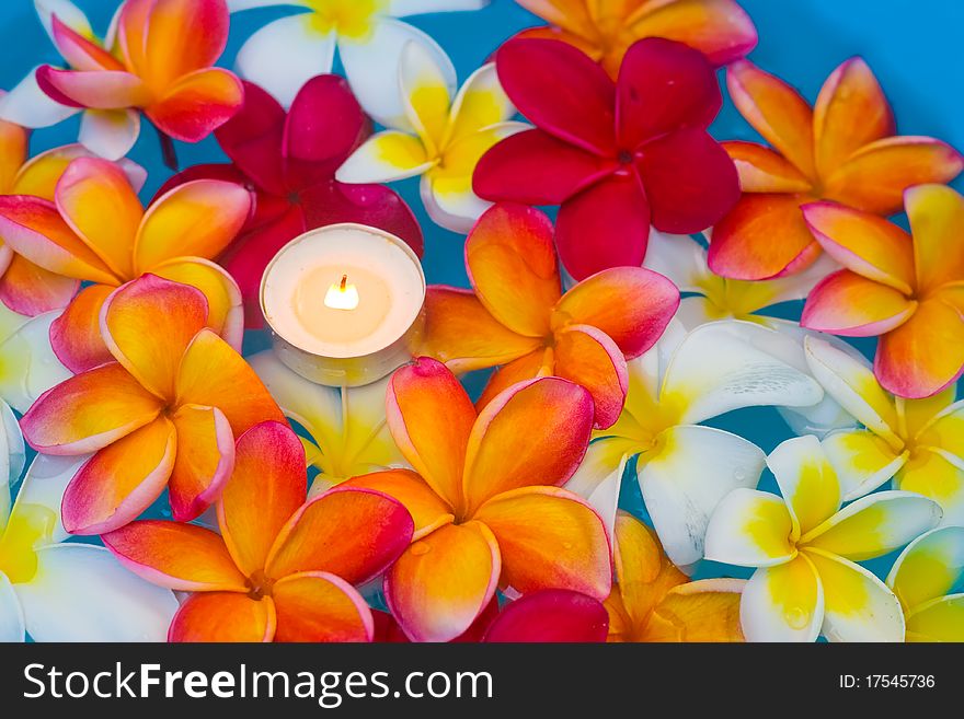 Candles in the middle of a multi-colored flowers. Candles in the middle of a multi-colored flowers