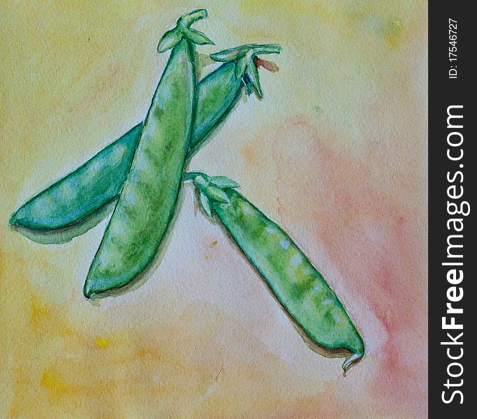 Pea Watercolor