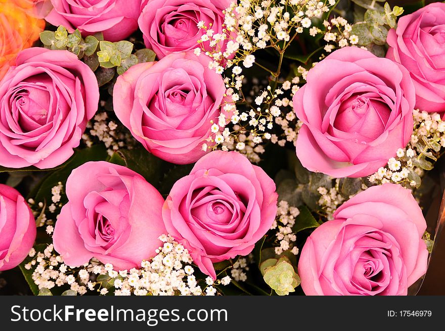 Bouquet of pink roses with white baby's breath flowers. Bouquet of pink roses with white baby's breath flowers