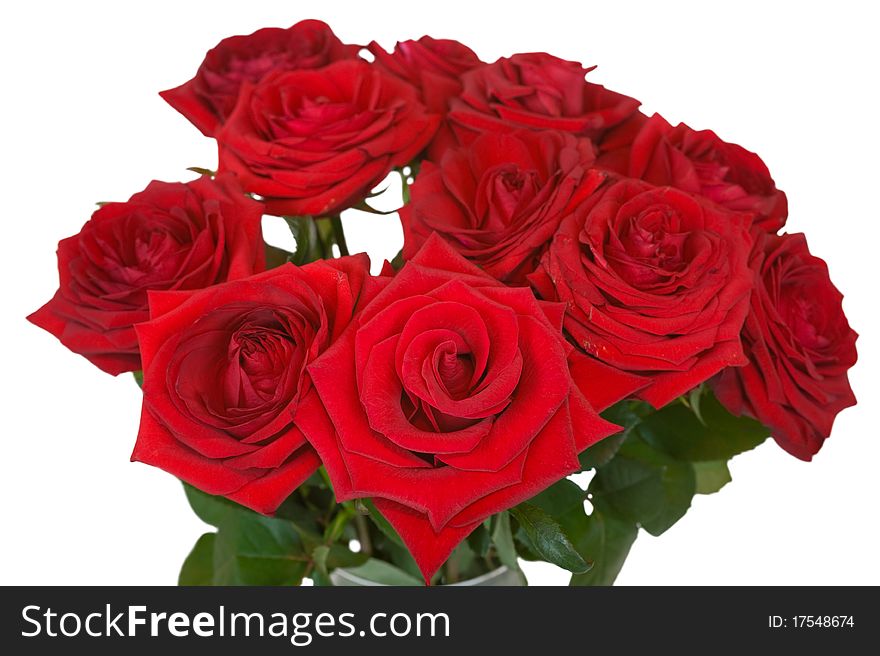 Bunch of roses, isolated on white. Bunch of roses, isolated on white