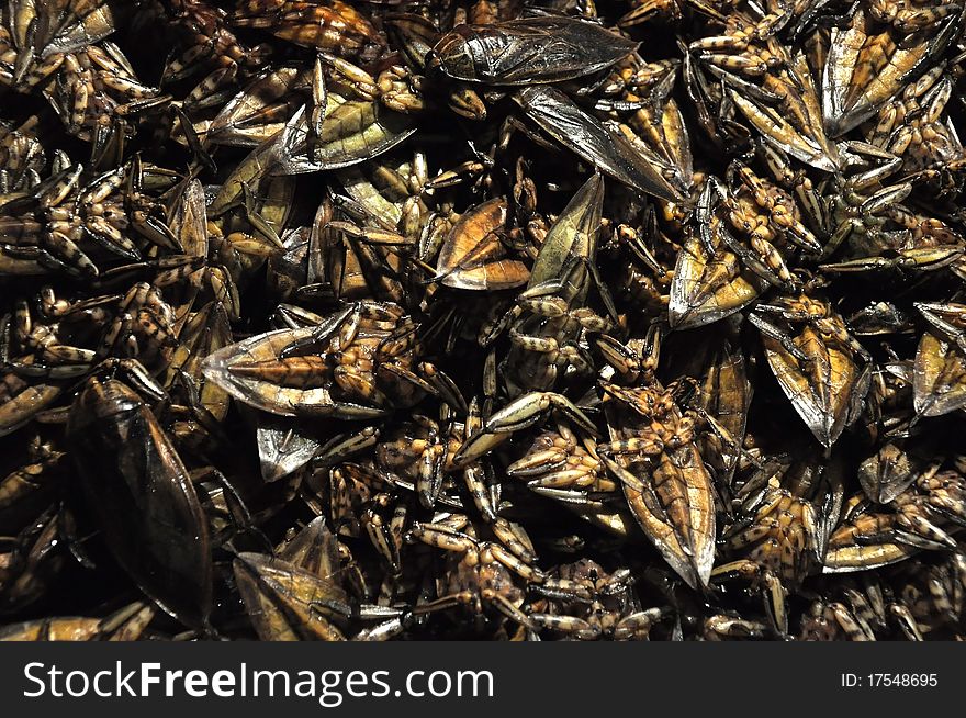 The crispy deep fried insect for delicious menu