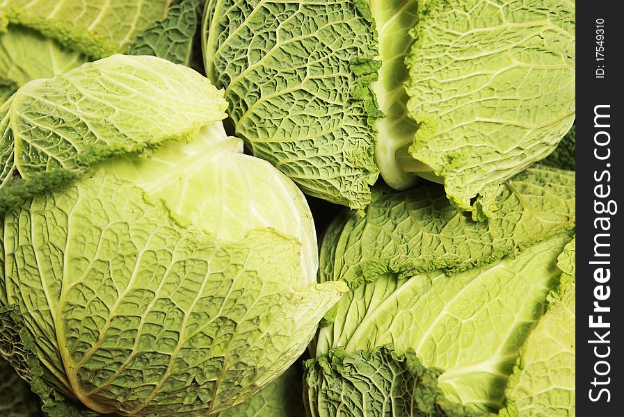 Background with fresh green cabbage (tendergreen)