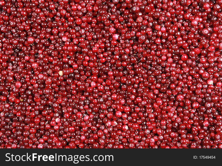 Fresh red cranberries in supermarket. Fresh red cranberries in supermarket