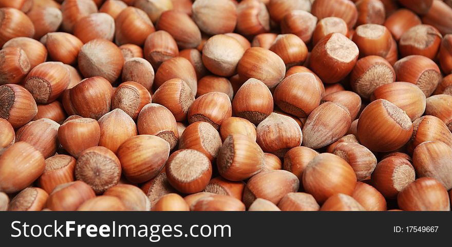 Heap of ripe hazel-nuts (shallow DOF)