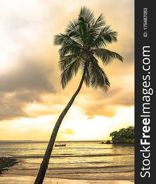 Evening Scene At Tropical Beach Vacation, Tilted Coconut Tree In Foreground And Sunset In Background Giving Sky A Magical Tint.