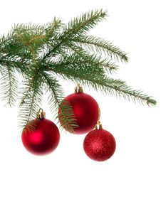 Red Christmas Decoration On Christmas Tree Royalty Free Stock Photos