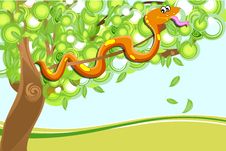 Snake On Tree Royalty Free Stock Photos Snake On Tree Royalty Free Stock Photos