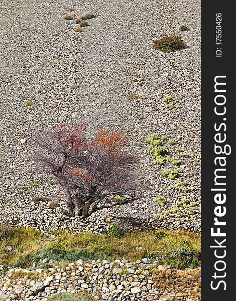 Autumn landscape, Annapurna region, Nepal. Autumn landscape, Annapurna region, Nepal.