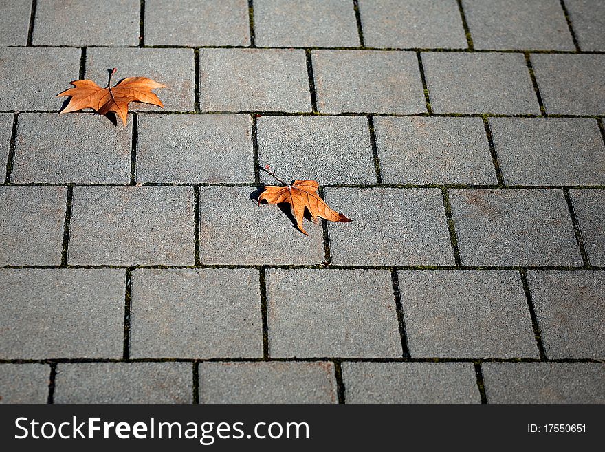 Orange autumn leaves on cobblestone. Orange autumn leaves on cobblestone