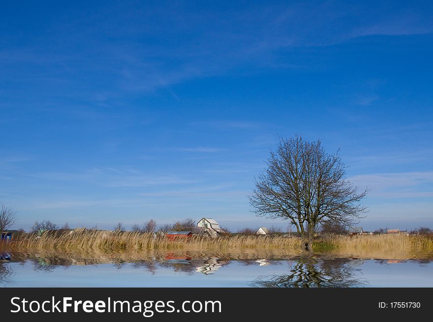 Pasture and blue sky on river. Nature composition.