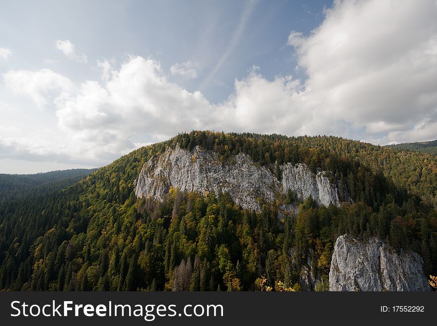 Fir Tree Forest Over Rocks Seen From Above