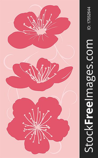 Floral decor as silhouettes of flowers on a pink background. Floral decor as silhouettes of flowers on a pink background