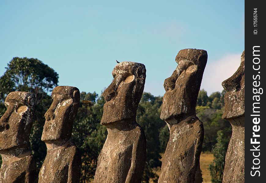 Moai in Rano Raraku, Easter Island, Chile. Moai in Rano Raraku, Easter Island, Chile.